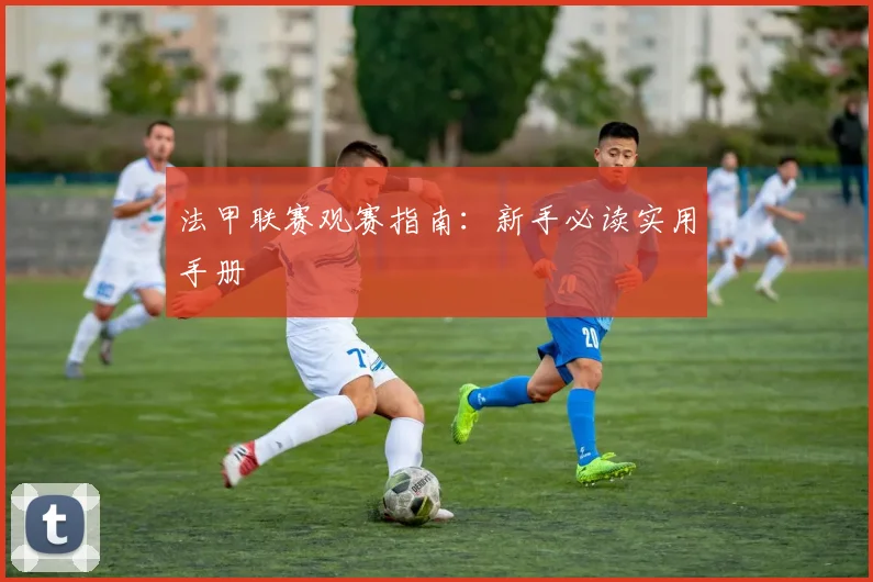法甲联赛观赛指南：新手必读实用手册