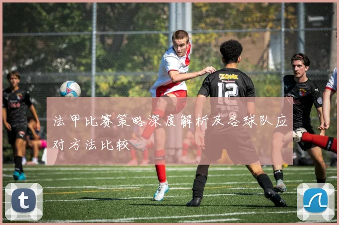 法甲比赛策略深度解析及各球队应对方法比较