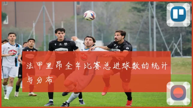 法甲里昂全年比赛总进球数的统计与分布