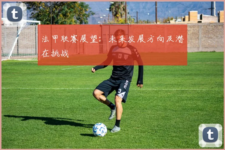 法甲联赛展望：未来发展方向及潜在挑战
