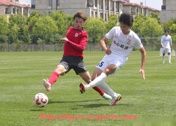 杏彩体育-世俱杯是否对气候变化提出环保承诺的具体措施解析